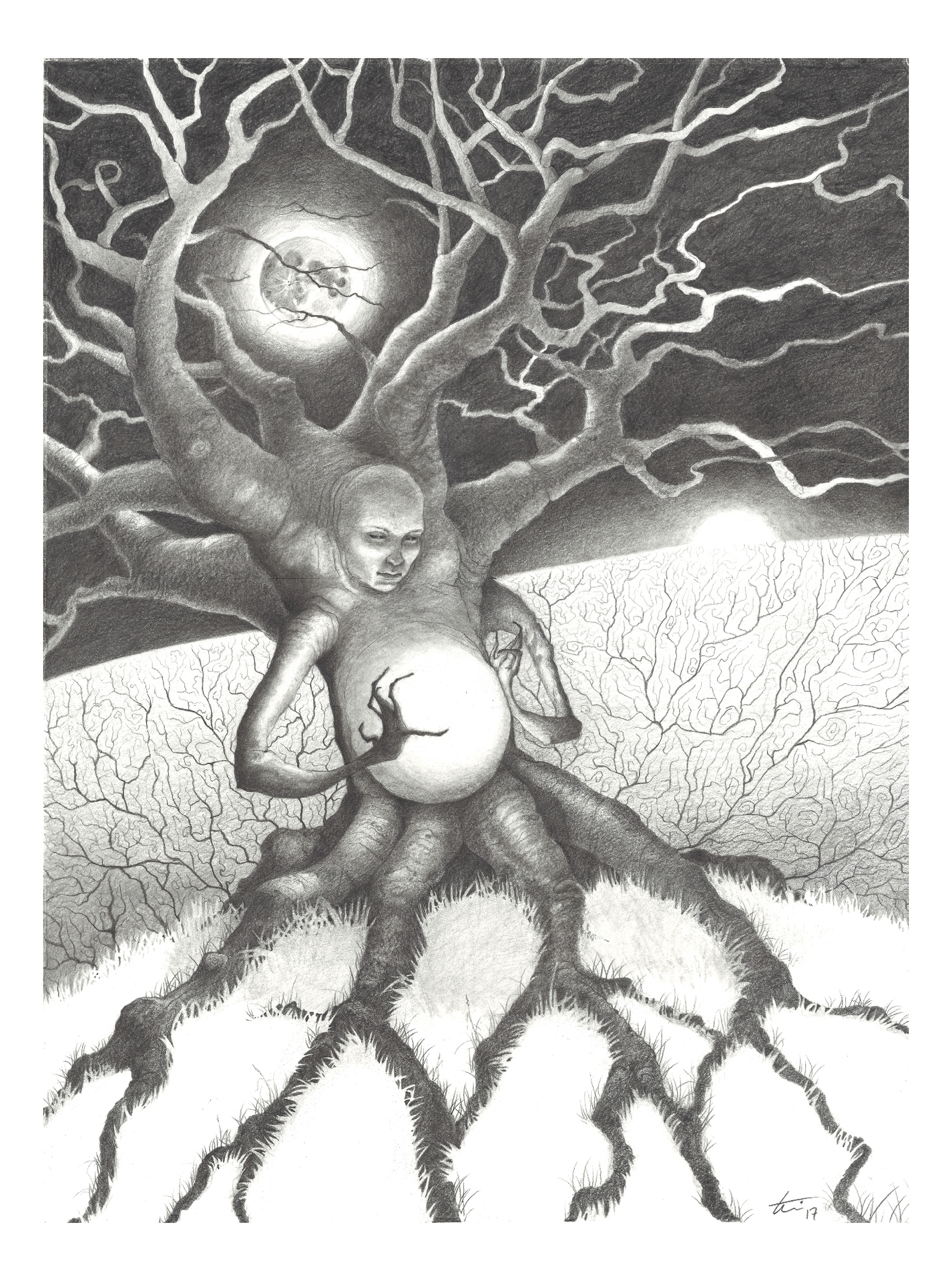 Monochromatic study of figure in tree pose yoga position