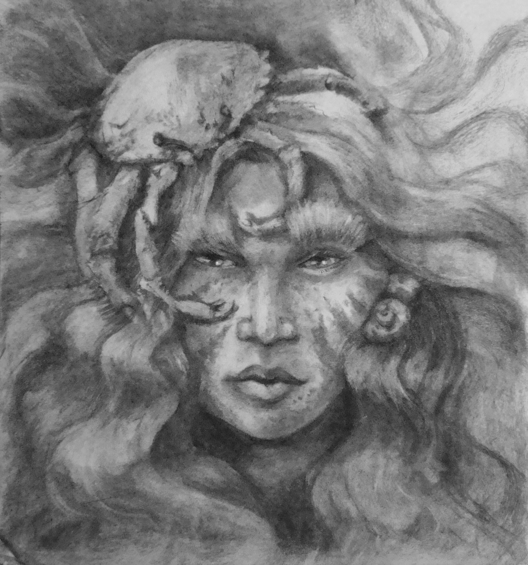 Abstract charcoal study exploring organic forms